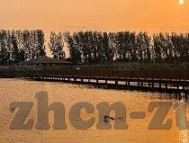 足球比分网14场-深度解析足球比分网14场，从数据迷雾到精准预测的进阶指南