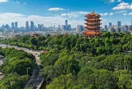 足球捷报比分推荐-足球捷报比分推荐，精准预测助你玩转绿茵场